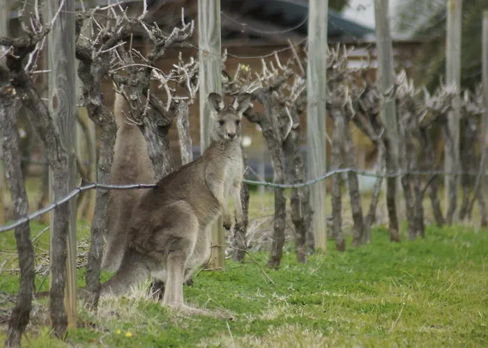 The Carriages Boutique Hotel And Vineyard